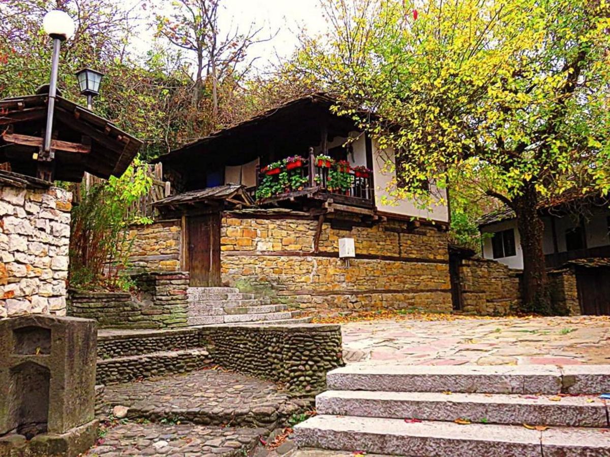 The Tinkov House In 洛维奇 外观 照片