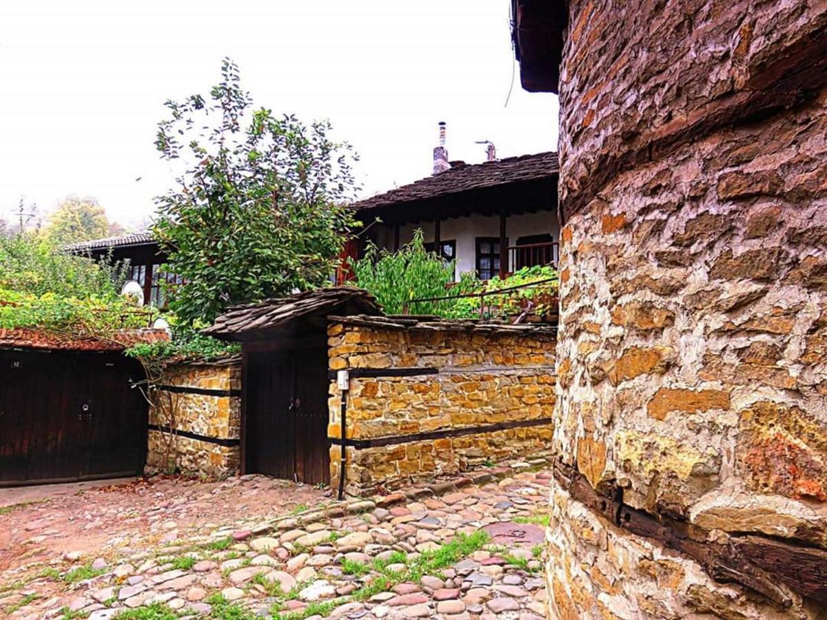 The Tinkov House In 洛维奇 外观 照片